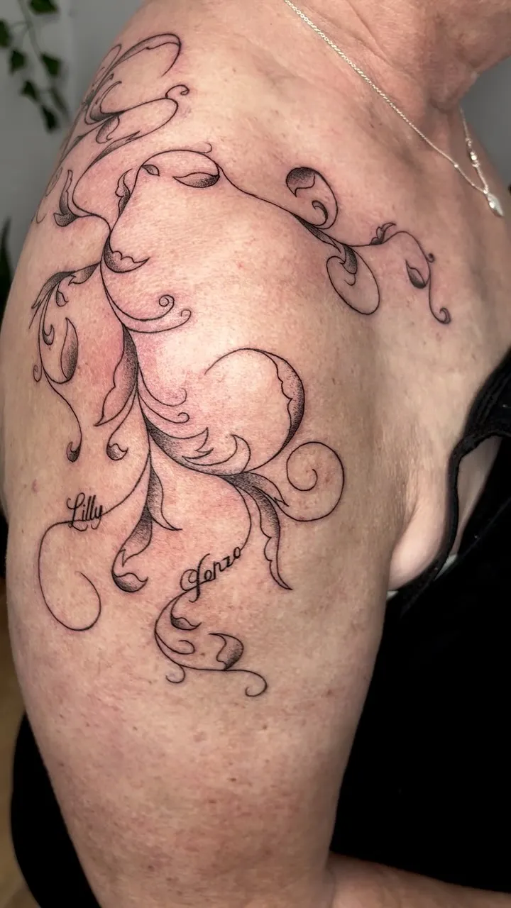 Instapost (https://www.instagram.com/reel/DIRfrAEimg5/)